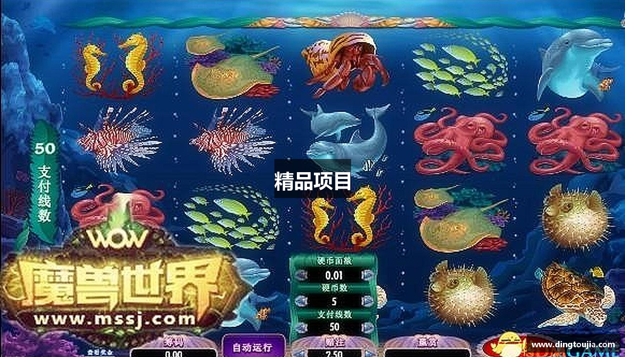 精品项目